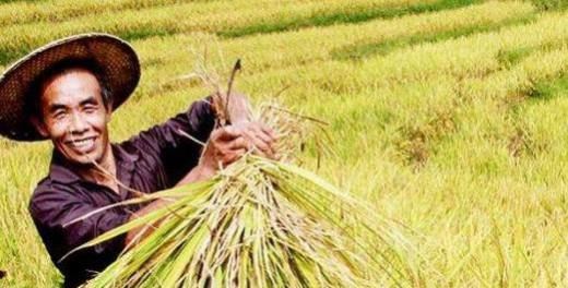 今年两会有什么惠民政策？