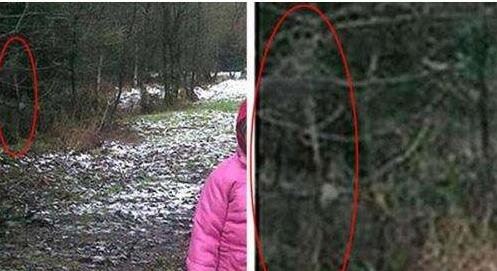 世界十大诡异图片看懂了才恐怖 图片详解(胆大的进)