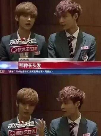 鹿晗关晓彤恋爱公开 鹿晗一夜之间掉粉三十万