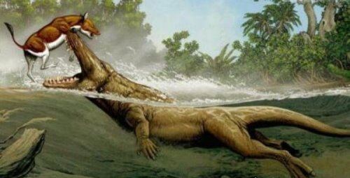 世界上最早的鲸鱼 古蜥鲸终被被淘汰(鲸鱼进化史的见证者)