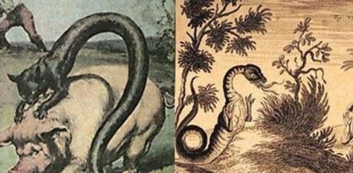 世界十大恐怖怪兽之谜 披着鱼鳞的猫发出毒气能瞬间致命无比凶残