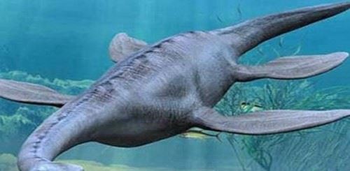 世界十大恐怖怪兽之谜 披着鱼鳞的猫发出毒气能瞬间致命无比凶残