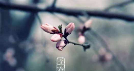 2022年立春是几月几号 2022年立春是几点几分几秒