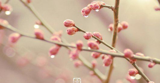 2022年立春是几月几号 2022年立春是几点几分几秒