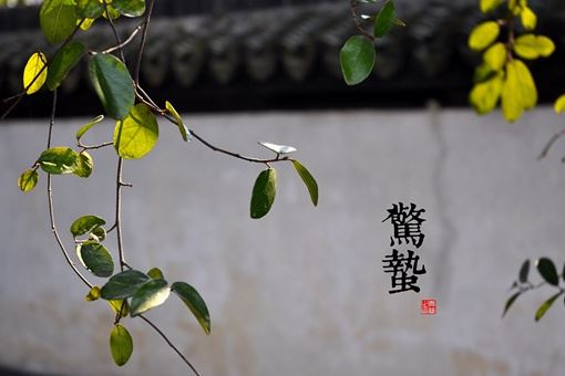 二十四节气申遗时间 二十四节气申遗的意义