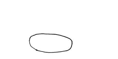 怎么画月饼的简笔画？