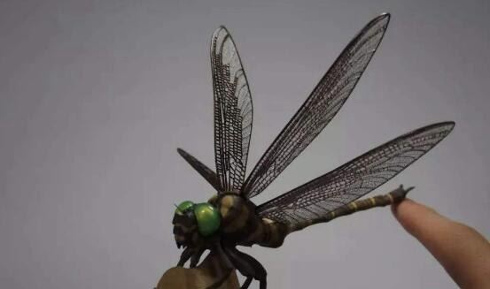 世界上十大最吓人的昆虫 自然界中10种长相超恐怖的昆虫