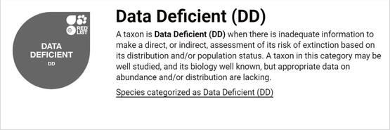 中华穿山甲灭绝了吗？读懂灭绝的多种含义就知道了