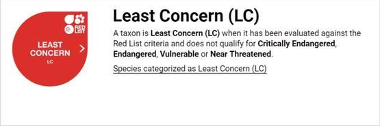 中华穿山甲灭绝了吗？读懂灭绝的多种含义就知道了