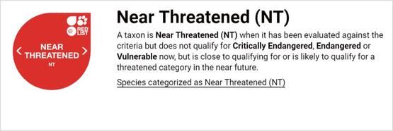 中华穿山甲灭绝了吗？读懂灭绝的多种含义就知道了