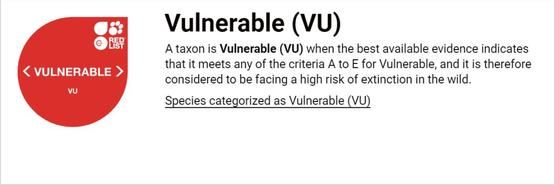 中华穿山甲灭绝了吗？读懂灭绝的多种含义就知道了