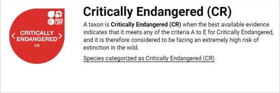中华穿山甲灭绝了吗？读懂灭绝的多种含义就知道了
