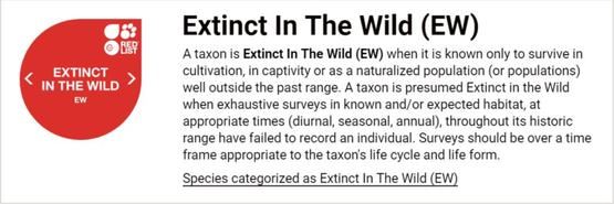 中华穿山甲灭绝了吗？读懂灭绝的多种含义就知道了