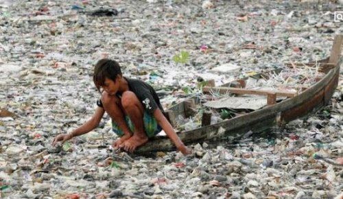 震惊世界的日本水俣病事件 是最早出现的公害病