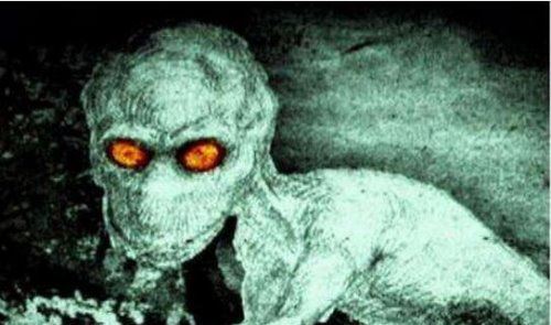 宇宙十大恐怖生物 地球上出现的10种恐怖未知生物