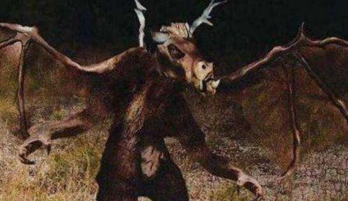 宇宙十大恐怖生物 地球上出现的10种恐怖未知生物