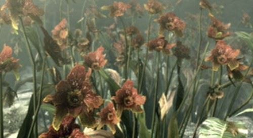 什么是维罗妮卡病毒?维罗妮卡病毒的病毒特征人造病毒