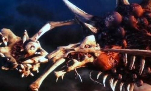 什么是维罗妮卡病毒？维罗妮卡病毒的病毒特征人造病毒