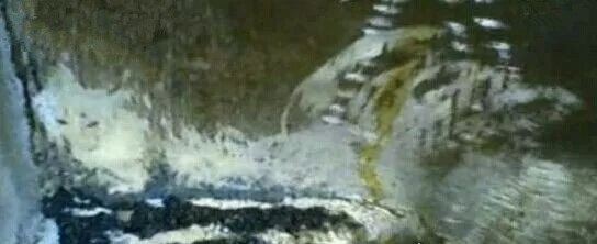 81年香港温莎大厦狐仙事件真相 狐仙事件回顾(传闻而已)