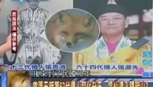 81年香港温莎大厦狐仙事件真相 狐仙事件回顾(传闻而已)