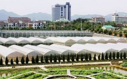 中国十大名村排名 中国十大富裕村排名