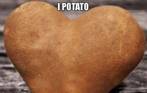 I potato you是什么梗？