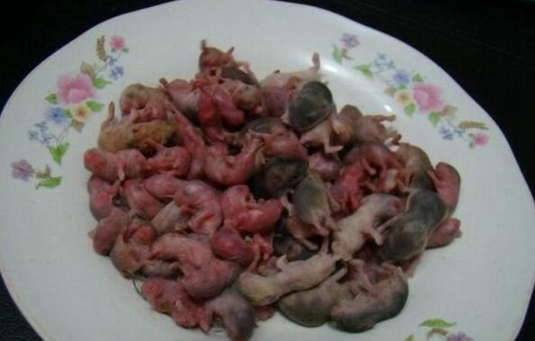 中国十大禁菜名单 人类舌尖上的罪孽(超残忍)