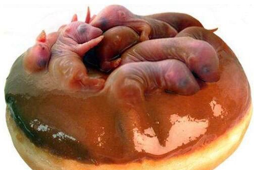 中国十大禁菜名单 人类舌尖上的罪孽(超残忍)