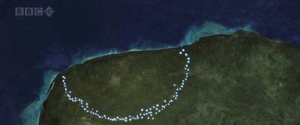 世界最大的陨石坑 希克苏鲁伯陨石坑直径180公里