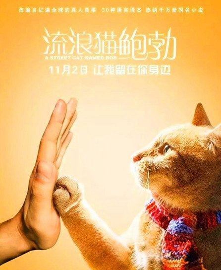 吸猫毒是什么情况 国外一小伙因吸猫毒而戒掉真正的毒品