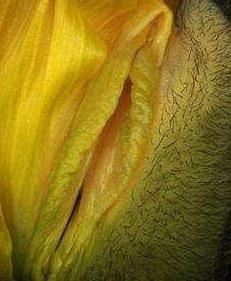 女人十大名器图解 万里挑一的外阴形状