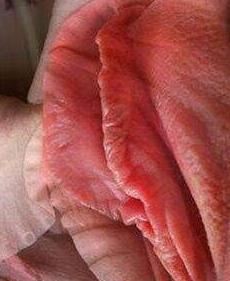 女人十大名器图解 万里挑一的外阴形状