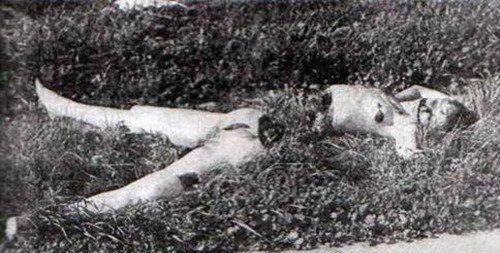 黑色大丽花惨案 死者被残忍折磨后分尸(凶手或已被确认)