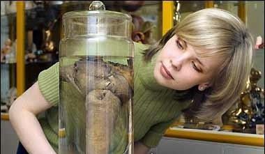 吉尼斯性记录世界之最 你不知道的性爱记录大全