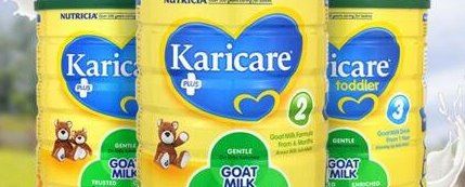 十大进口奶粉品牌排行榜 哪种进口奶粉最好