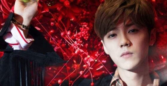 鹿晗跟陈数是什么关系揭晓 陈数是鹿晗的什么人（不是母子关系）