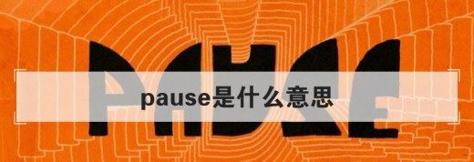 pause是什么意思？