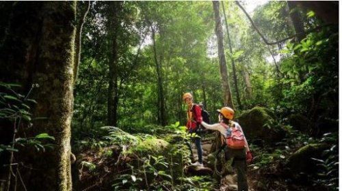 驴友是什么意思 通常指那些爱好自主旅游的人(驴友是旅游谐音)