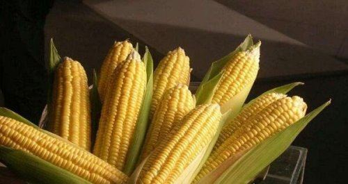 余秀华最好的十三首诗 每一个人都是生活的歌颂者（农村女诗人）