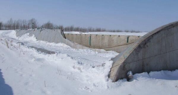 余秀华最好的十三首诗 每一个人都是生活的歌颂者（农村女诗人）