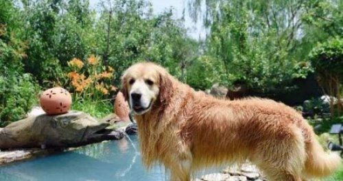 余秀华最好的十三首诗 每一个人都是生活的歌颂者（农村女诗人）