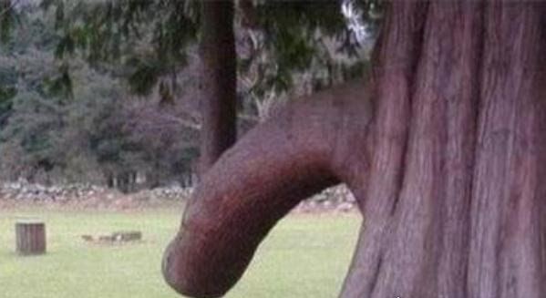 让人脸红的自然奇观 “天下第一奇石”阳元石(酷似男性生殖器)