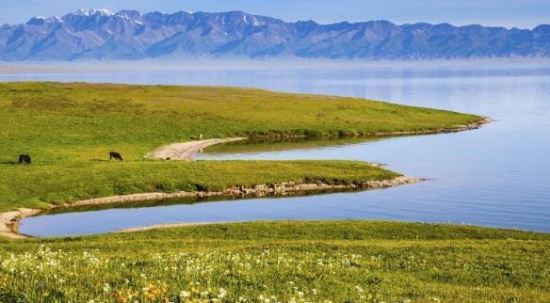 世界上邻国最多的国家 中国是陆地邻国最多的国家(共有14个)