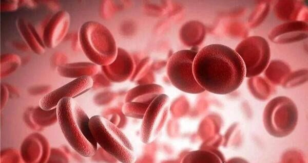 a型血为什么叫贵族血 a型血并不属于贵族血(ab型血才是)