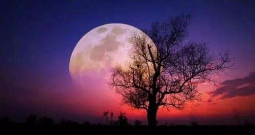 红色的月亮会死人吗？血月出现三年内有灾是真的？