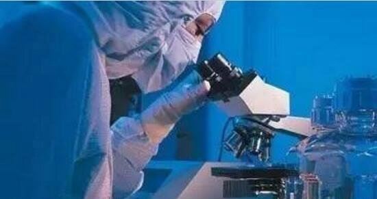 1995上海吸血鬼事件真相 吸血老太婆专吸红衣女孩