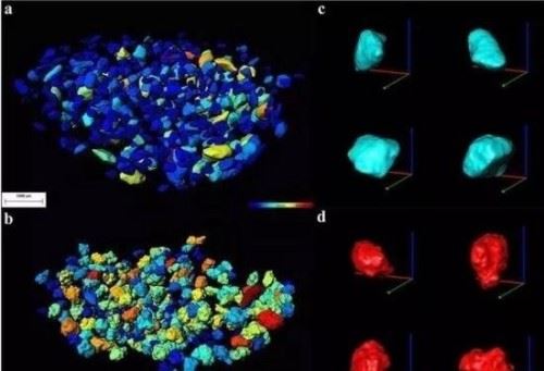 1995上海吸血鬼事件真相 吸血老太婆专吸红衣女孩