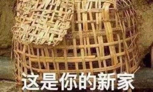 关进鸡笼是什么梗？鸡笼警告是什么意思