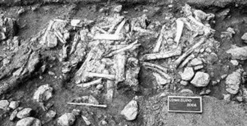 我国境内最早的人类是巫山人 距今200万年(比元谋人早30万年)