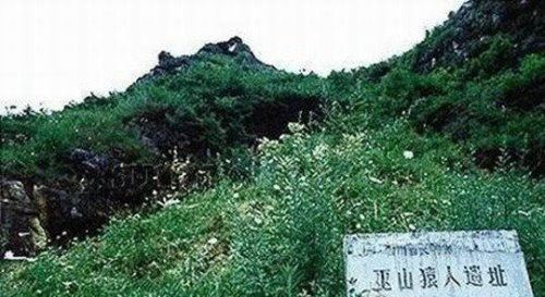 我国境内最早的人类是巫山人 距今200万年(比元谋人早30万年)